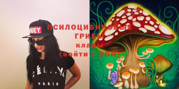 бошки Балахна