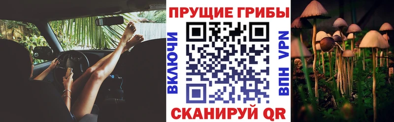 Псилоцибиновые грибы прущие грибы  МЕГА ONION  Курчалой 